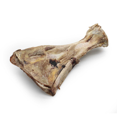 Schaufelknochen vom Rind (getrocknet) - Frostfutter Vertrieb