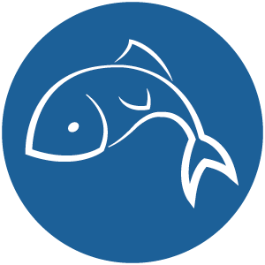Fisch